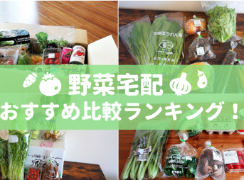 野菜宅配おすすめ比較ランキング！